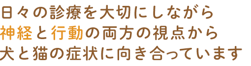 日々の診療を大切にしながら、神経と行動の両方の視点から
犬と猫の症状に向き合っています
