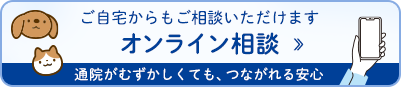 オンライン相談